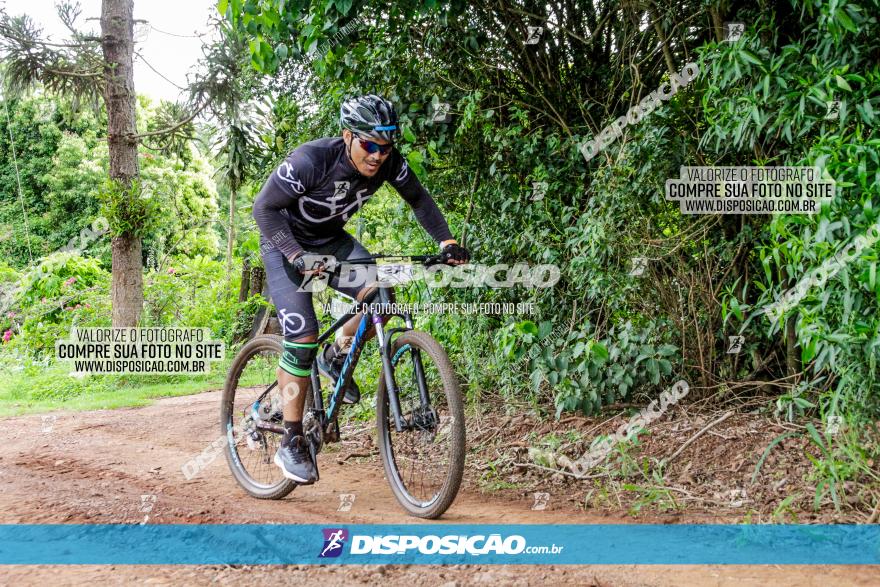 1ª EDIÇÃO DESAFIO ABELHA GRANDE - XCM