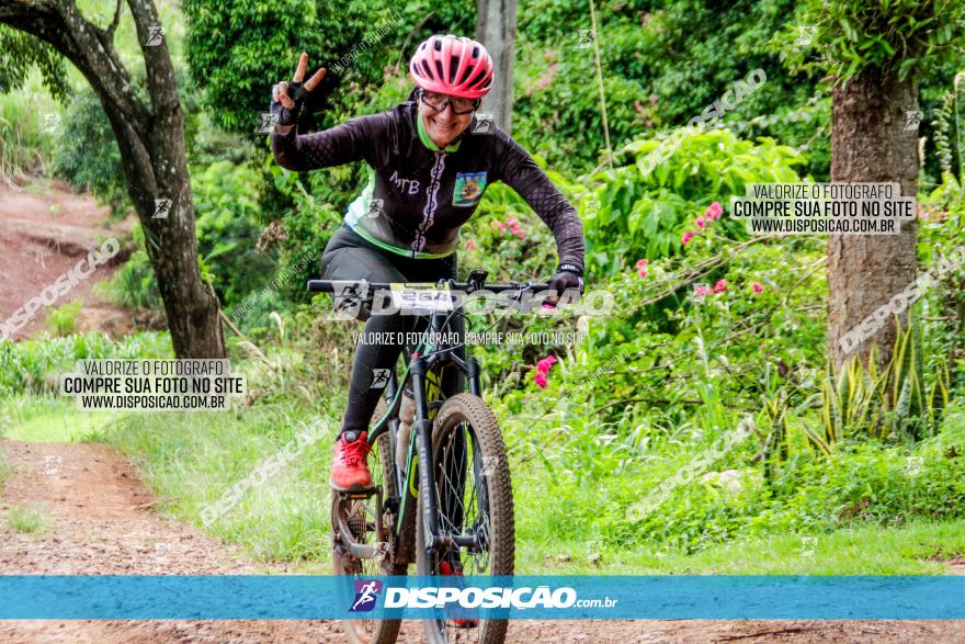 1ª EDIÇÃO DESAFIO ABELHA GRANDE - XCM