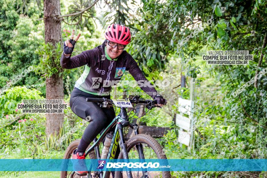 1ª EDIÇÃO DESAFIO ABELHA GRANDE - XCM