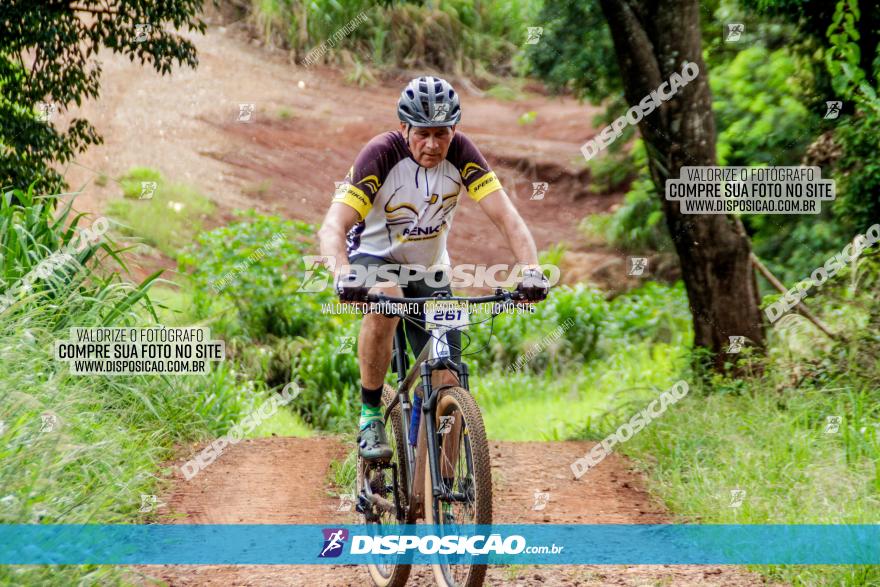 1ª EDIÇÃO DESAFIO ABELHA GRANDE - XCM