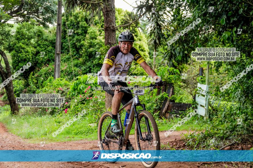 1ª EDIÇÃO DESAFIO ABELHA GRANDE - XCM