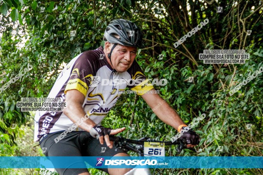 1ª EDIÇÃO DESAFIO ABELHA GRANDE - XCM