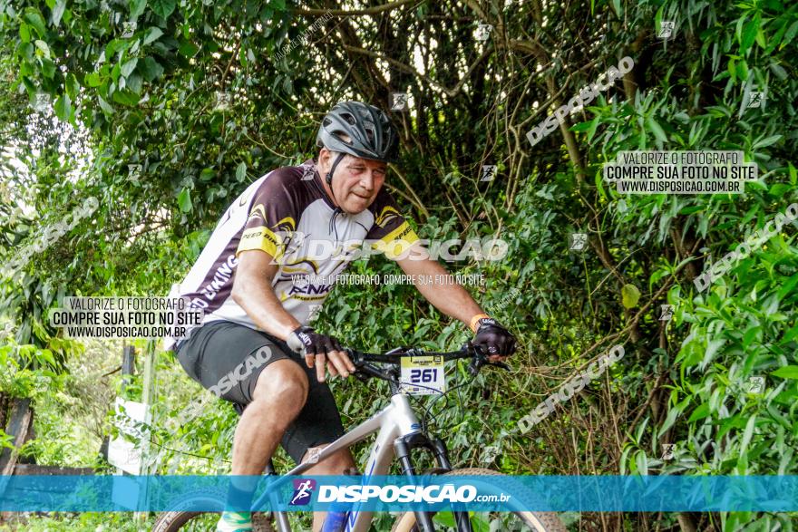 1ª EDIÇÃO DESAFIO ABELHA GRANDE - XCM