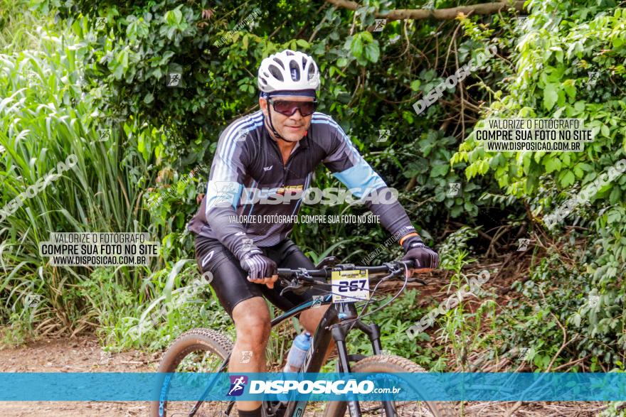 1ª EDIÇÃO DESAFIO ABELHA GRANDE - XCM