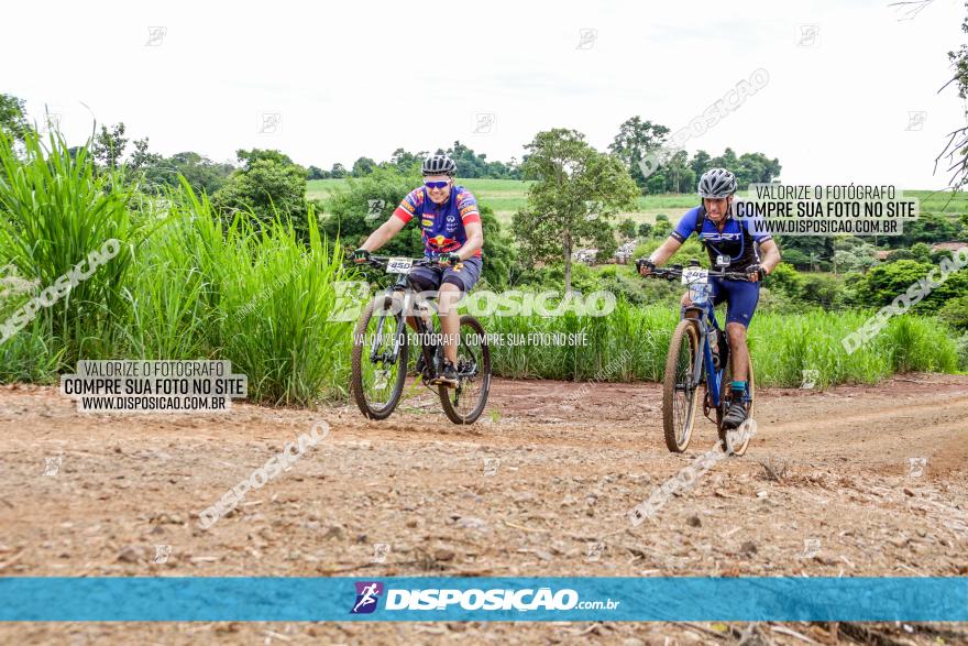 1ª EDIÇÃO DESAFIO ABELHA GRANDE - XCM