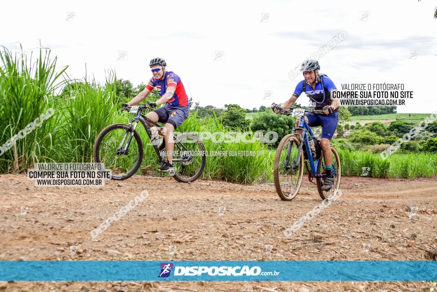 1ª EDIÇÃO DESAFIO ABELHA GRANDE - XCM