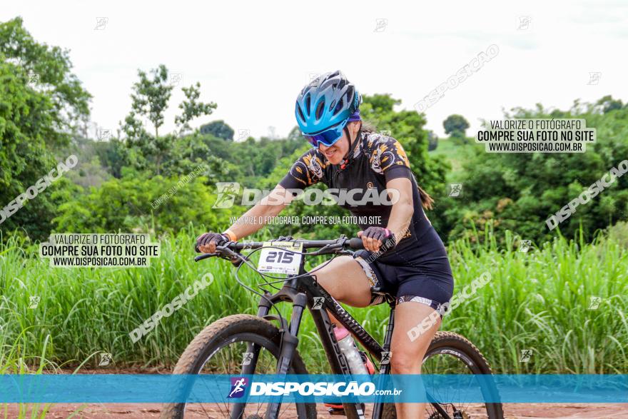 1ª EDIÇÃO DESAFIO ABELHA GRANDE - XCM