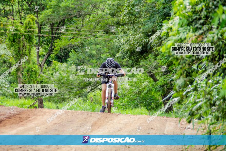 1ª EDIÇÃO DESAFIO ABELHA GRANDE - XCM