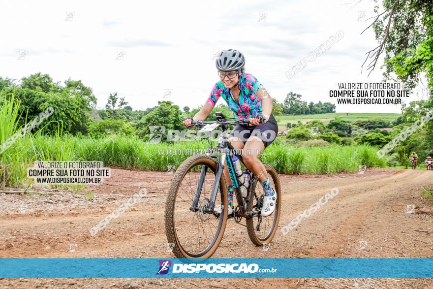 1ª EDIÇÃO DESAFIO ABELHA GRANDE - XCM