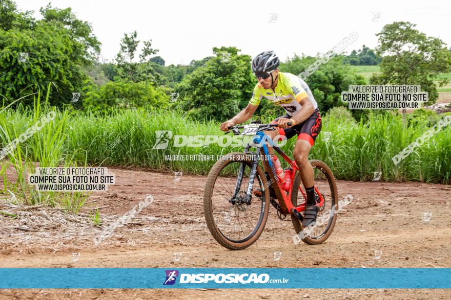 1ª EDIÇÃO DESAFIO ABELHA GRANDE - XCM