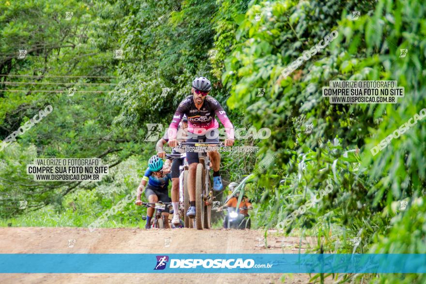 1ª EDIÇÃO DESAFIO ABELHA GRANDE - XCM