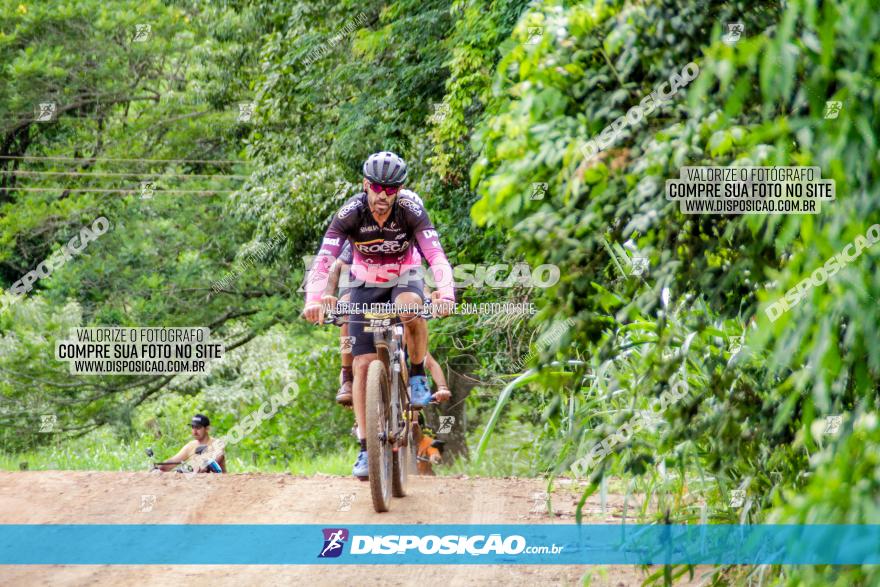 1ª EDIÇÃO DESAFIO ABELHA GRANDE - XCM