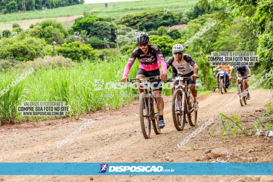 1ª EDIÇÃO DESAFIO ABELHA GRANDE - XCM