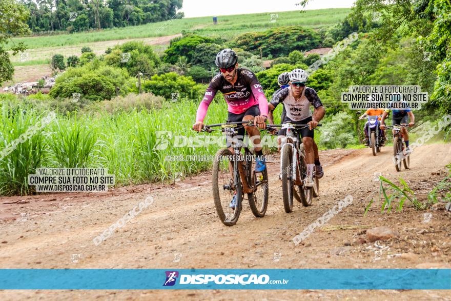 1ª EDIÇÃO DESAFIO ABELHA GRANDE - XCM