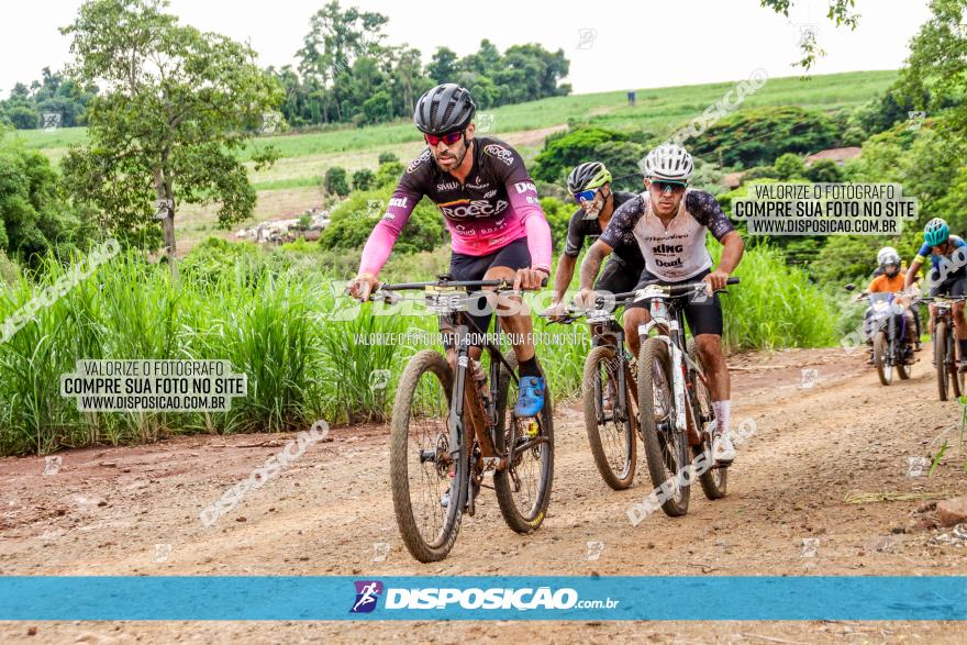 1ª EDIÇÃO DESAFIO ABELHA GRANDE - XCM