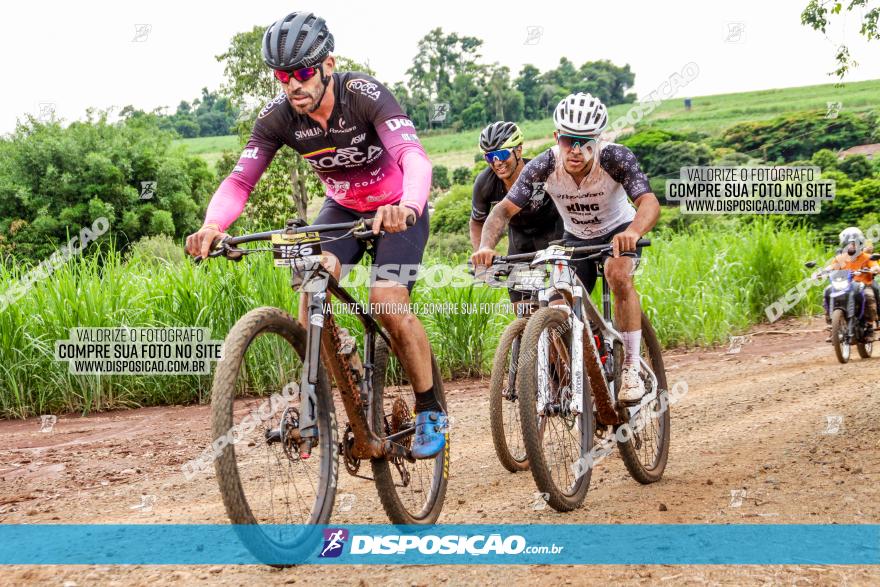 1ª EDIÇÃO DESAFIO ABELHA GRANDE - XCM