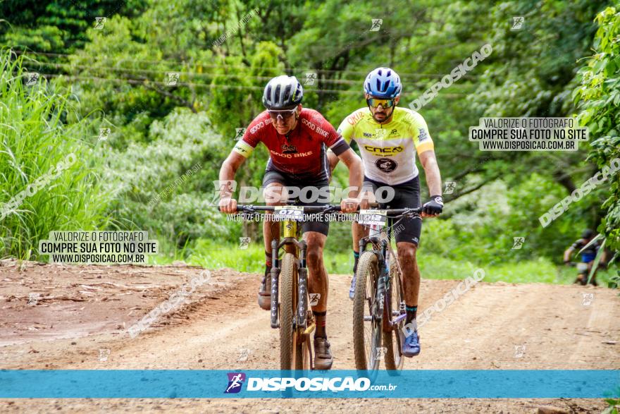 1ª EDIÇÃO DESAFIO ABELHA GRANDE - XCM