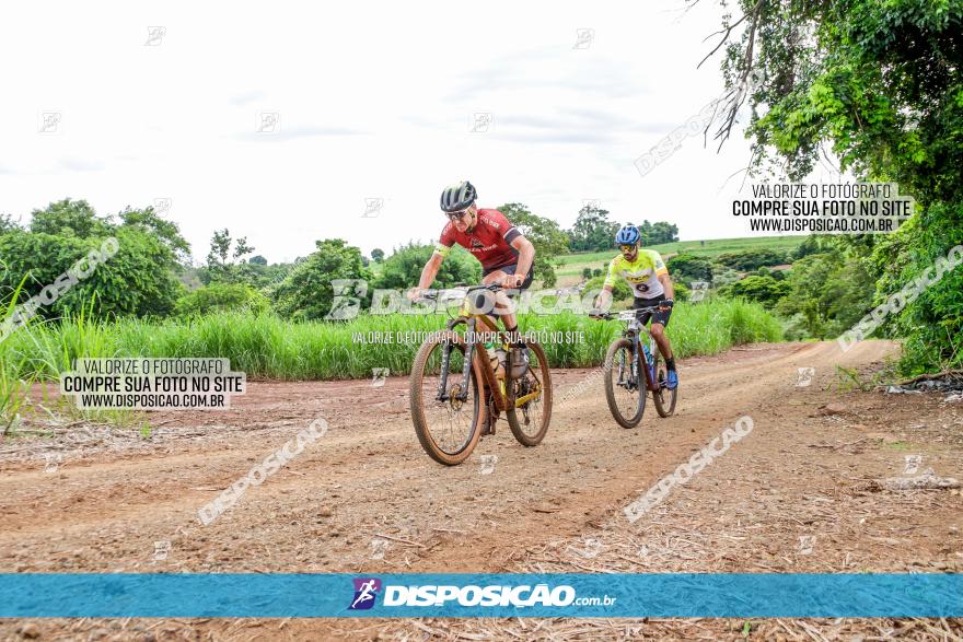 1ª EDIÇÃO DESAFIO ABELHA GRANDE - XCM