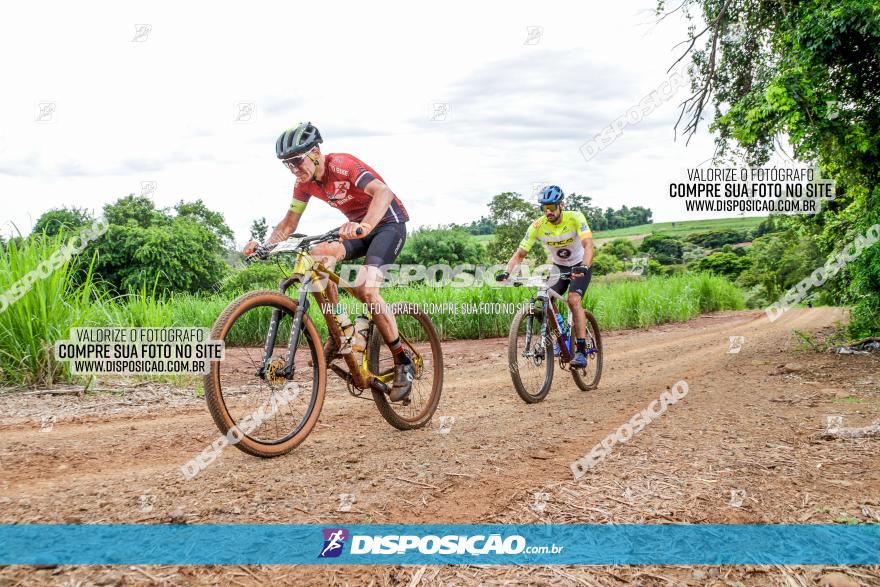 1ª EDIÇÃO DESAFIO ABELHA GRANDE - XCM