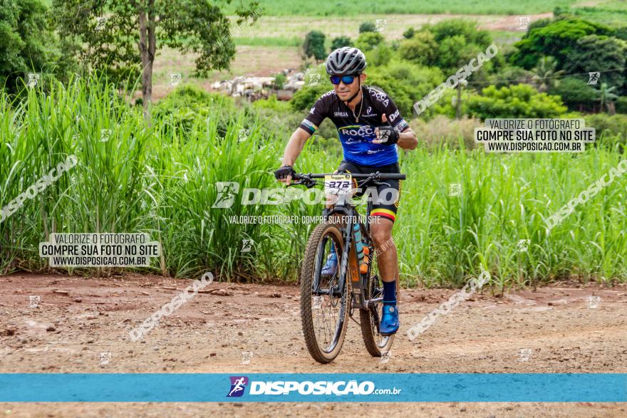 1ª EDIÇÃO DESAFIO ABELHA GRANDE - XCM