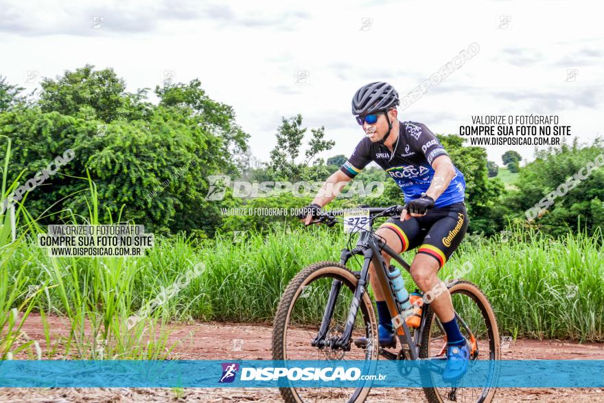 1ª EDIÇÃO DESAFIO ABELHA GRANDE - XCM