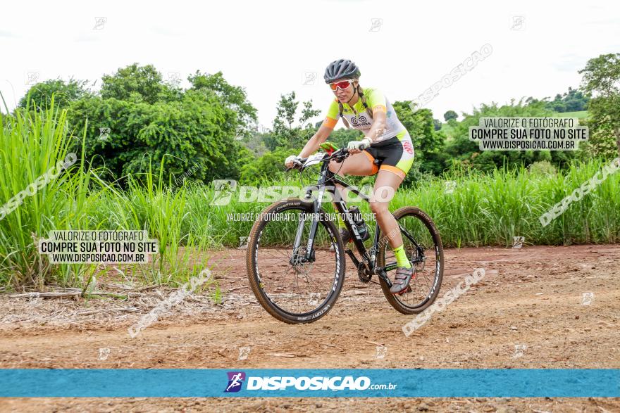 1ª EDIÇÃO DESAFIO ABELHA GRANDE - XCM