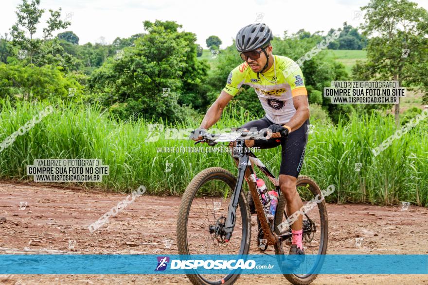 1ª EDIÇÃO DESAFIO ABELHA GRANDE - XCM