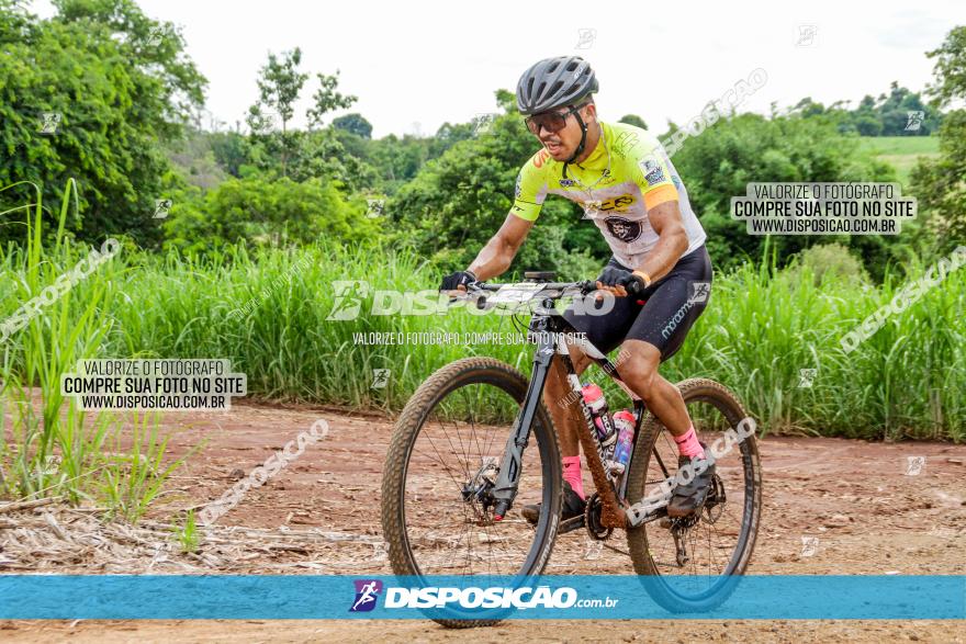 1ª EDIÇÃO DESAFIO ABELHA GRANDE - XCM