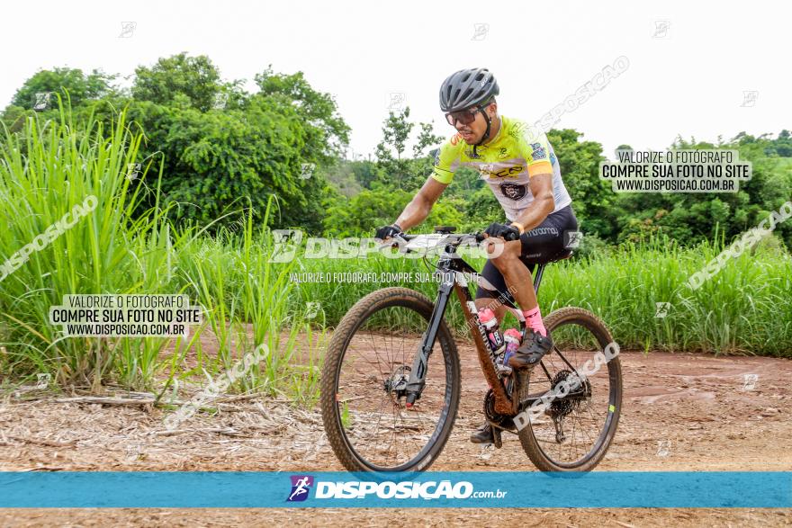 1ª EDIÇÃO DESAFIO ABELHA GRANDE - XCM