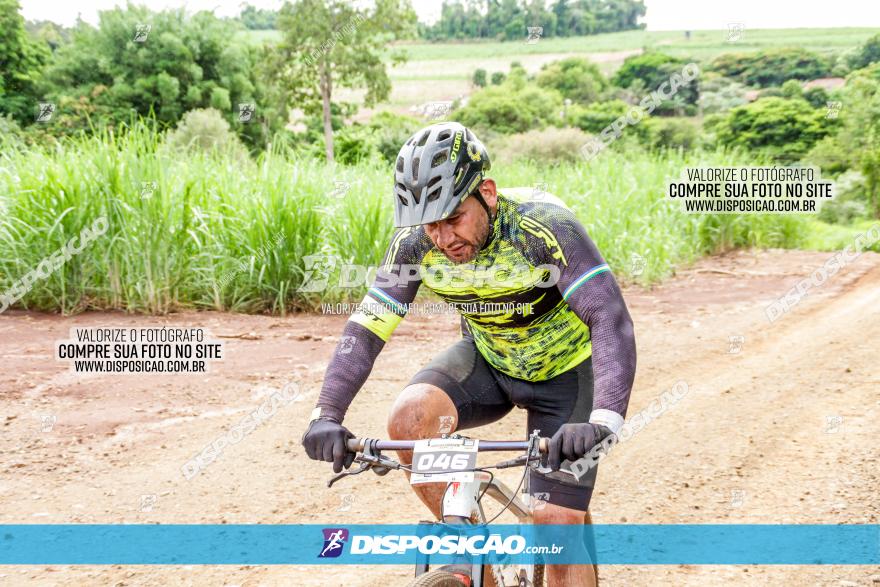 1ª EDIÇÃO DESAFIO ABELHA GRANDE - XCM