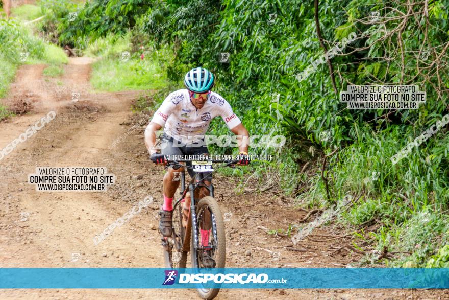 1ª EDIÇÃO DESAFIO ABELHA GRANDE - XCM