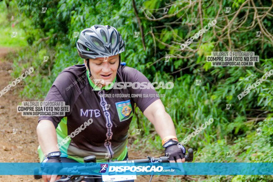 1ª EDIÇÃO DESAFIO ABELHA GRANDE - XCM