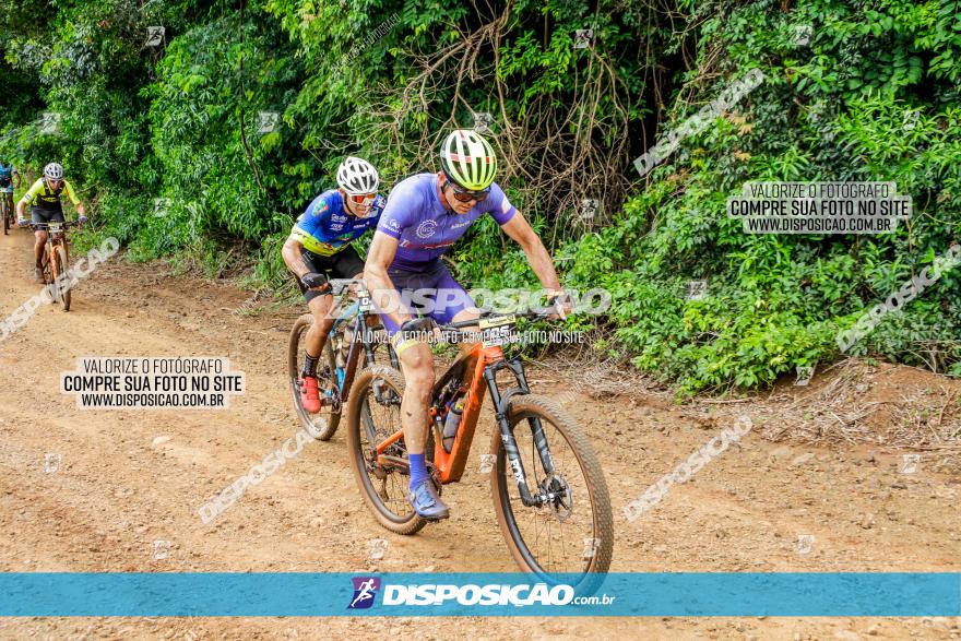 1ª EDIÇÃO DESAFIO ABELHA GRANDE - XCM