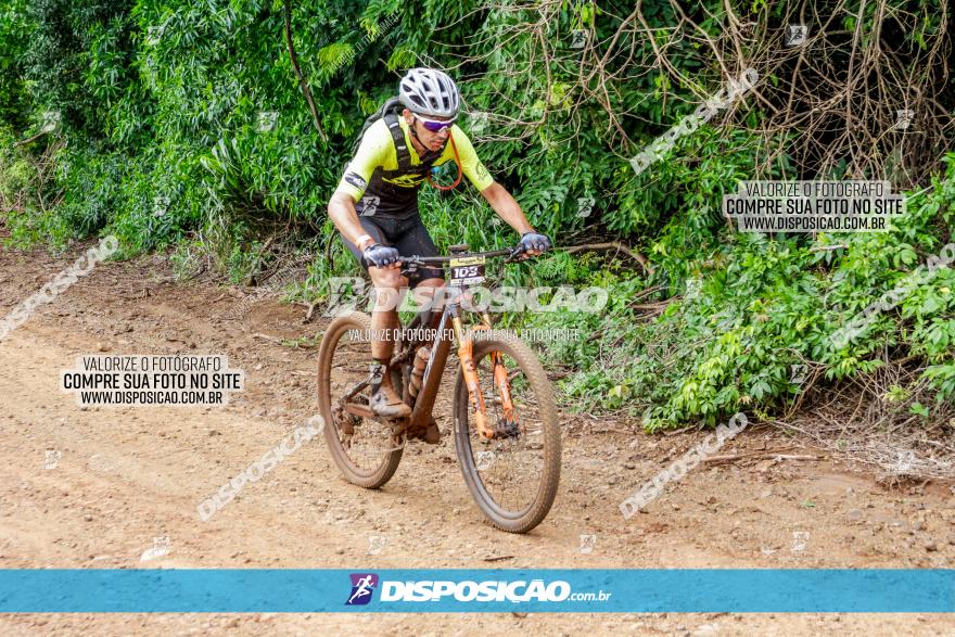 1ª EDIÇÃO DESAFIO ABELHA GRANDE - XCM