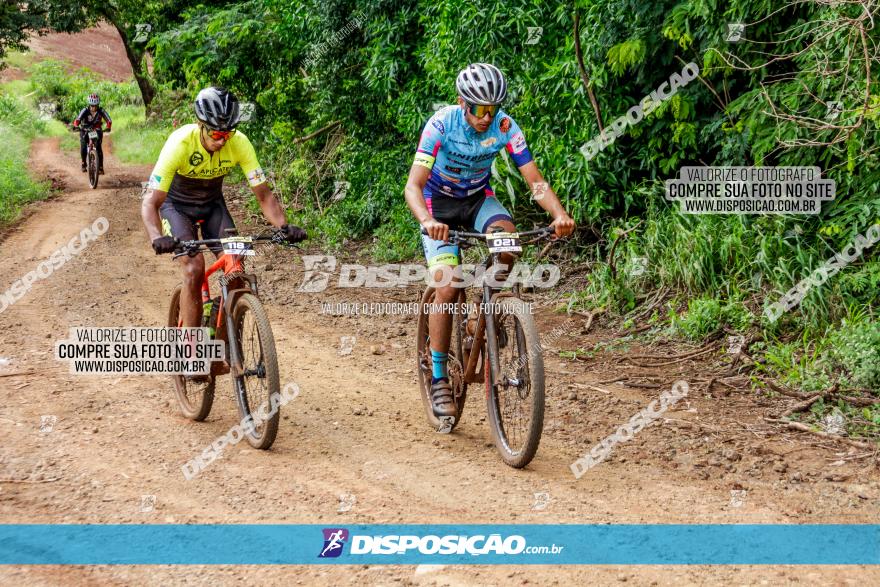 1ª EDIÇÃO DESAFIO ABELHA GRANDE - XCM