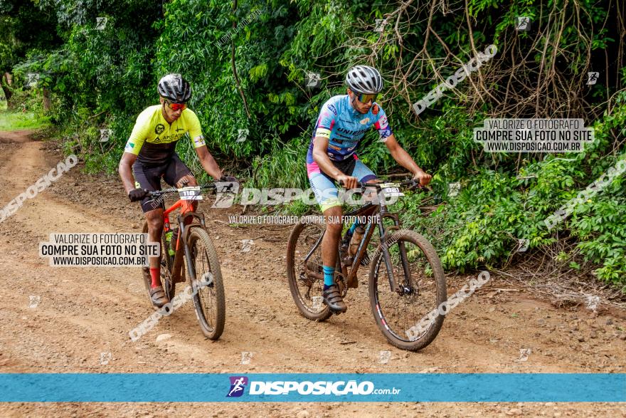 1ª EDIÇÃO DESAFIO ABELHA GRANDE - XCM