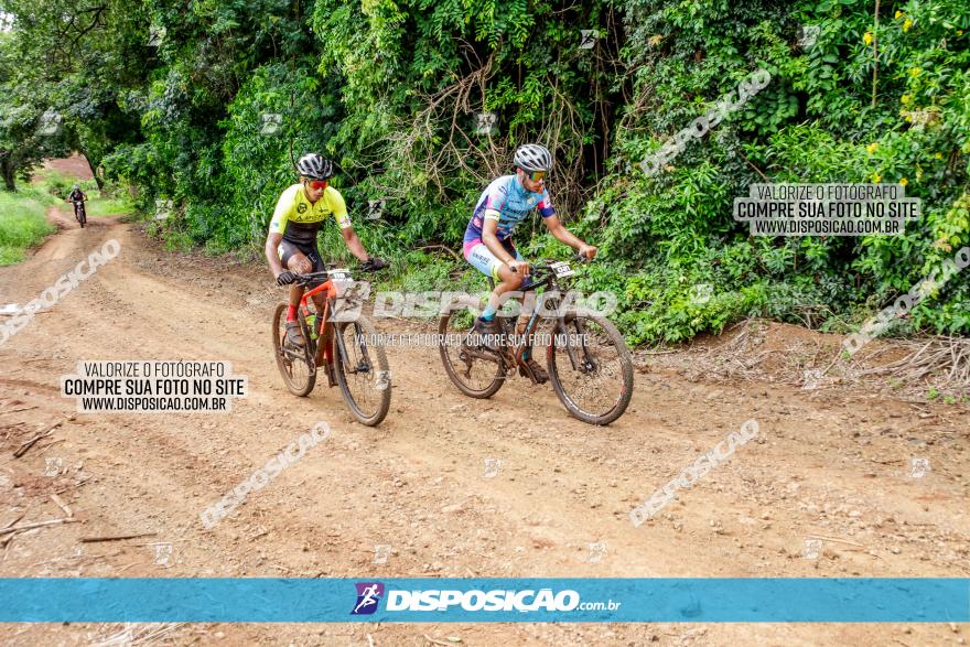 1ª EDIÇÃO DESAFIO ABELHA GRANDE - XCM