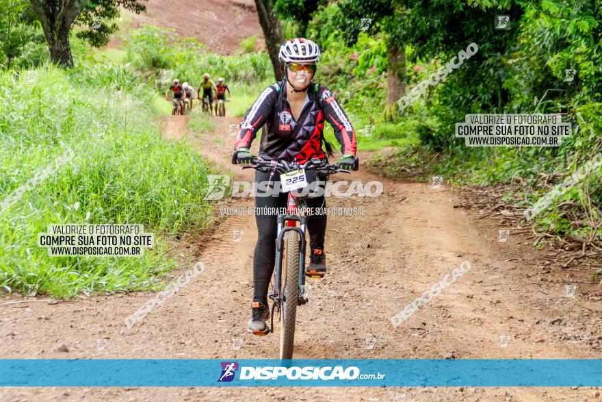 1ª EDIÇÃO DESAFIO ABELHA GRANDE - XCM