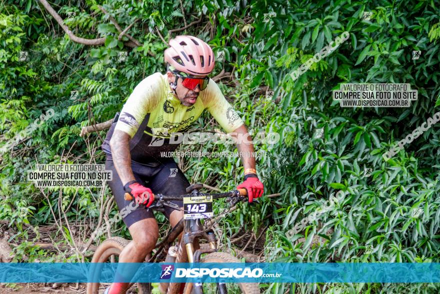 1ª EDIÇÃO DESAFIO ABELHA GRANDE - XCM