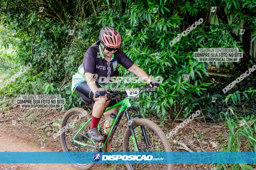 1ª EDIÇÃO DESAFIO ABELHA GRANDE - XCM