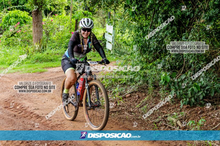 1ª EDIÇÃO DESAFIO ABELHA GRANDE - XCM