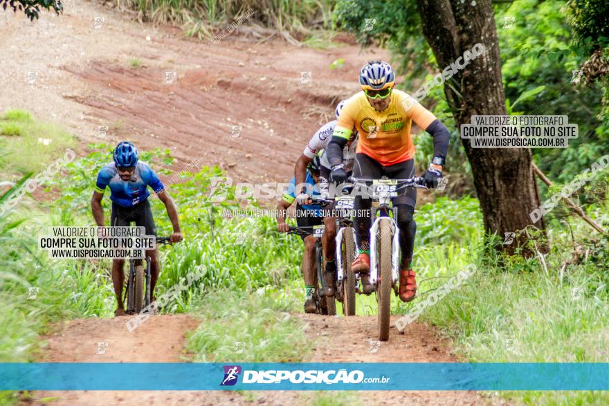 1ª EDIÇÃO DESAFIO ABELHA GRANDE - XCM