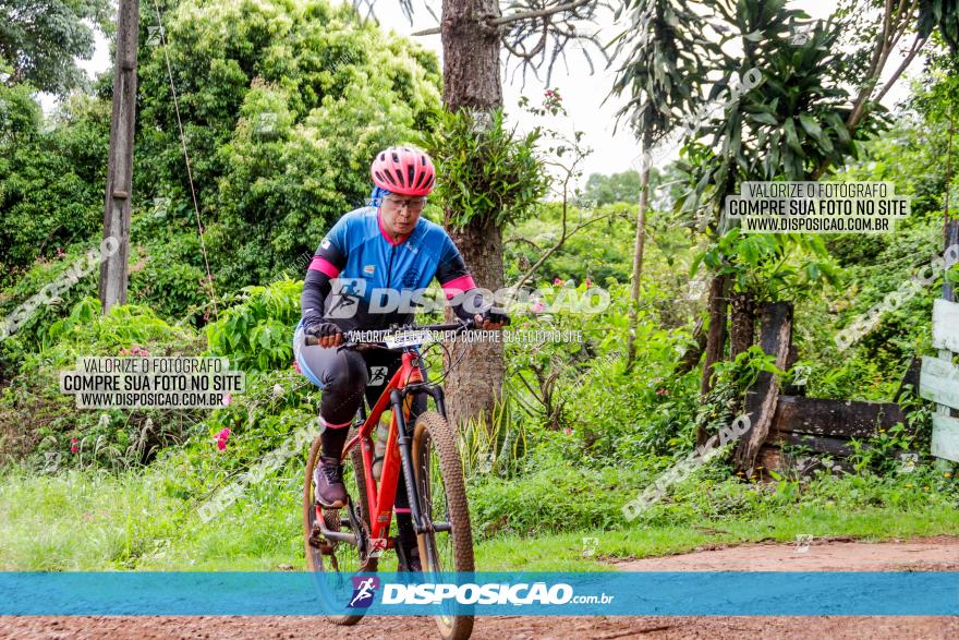 1ª EDIÇÃO DESAFIO ABELHA GRANDE - XCM