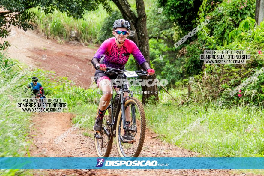 1ª EDIÇÃO DESAFIO ABELHA GRANDE - XCM