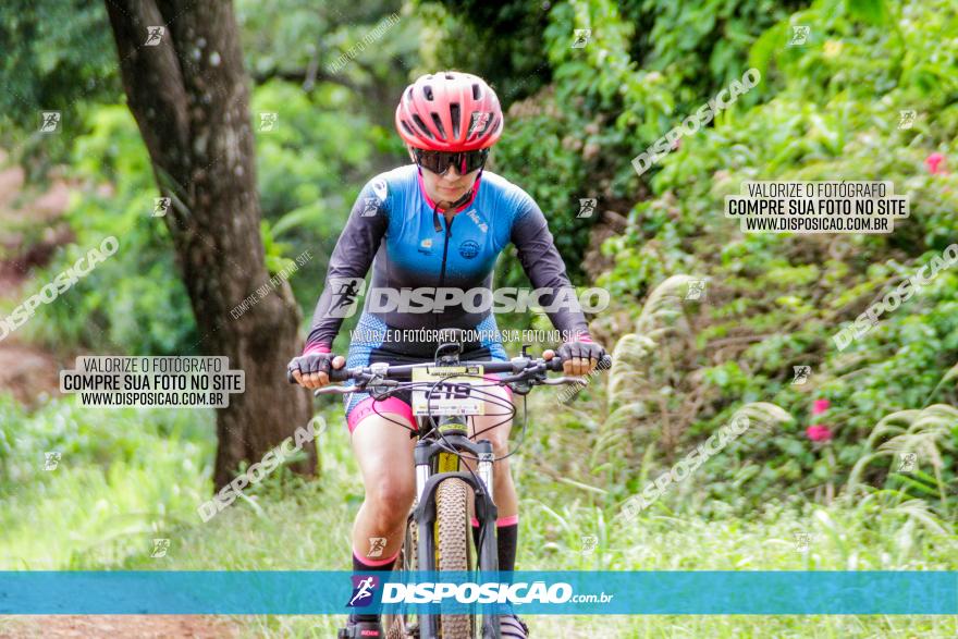 1ª EDIÇÃO DESAFIO ABELHA GRANDE - XCM