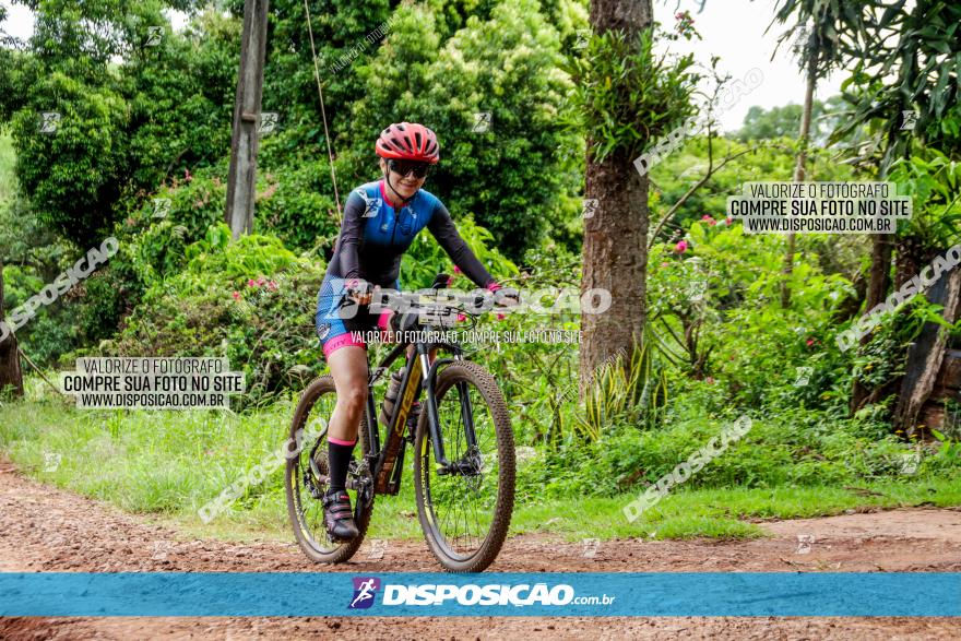 1ª EDIÇÃO DESAFIO ABELHA GRANDE - XCM