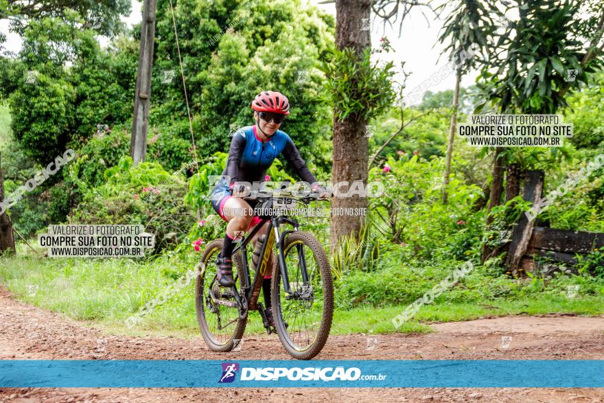 1ª EDIÇÃO DESAFIO ABELHA GRANDE - XCM