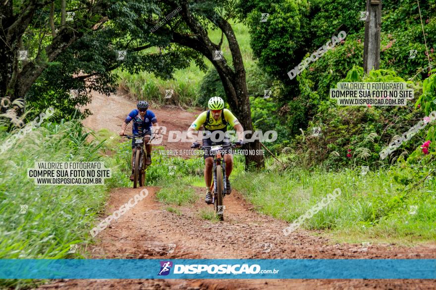 1ª EDIÇÃO DESAFIO ABELHA GRANDE - XCM