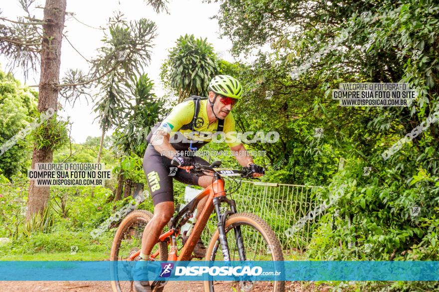 1ª EDIÇÃO DESAFIO ABELHA GRANDE - XCM