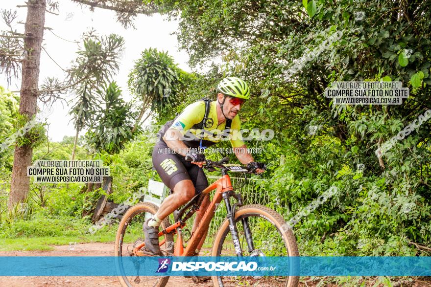 1ª EDIÇÃO DESAFIO ABELHA GRANDE - XCM